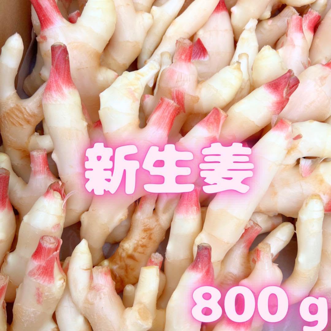 新生姜　薬味　おすすめ　箱込　125 新生姜 薬味 箱込 125 新生姜の手しごとトップ | 家庭用商品